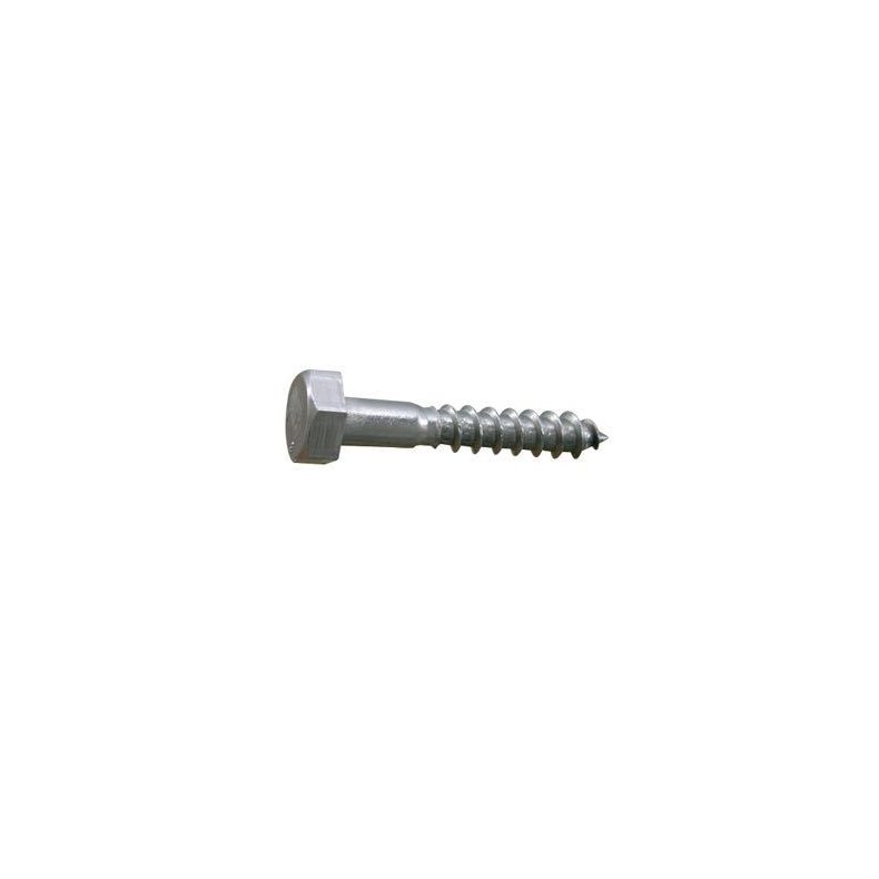 Skrue fransk 12 x 100 a4